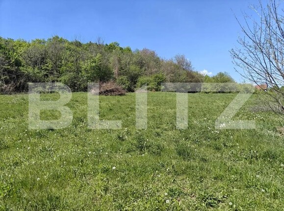 Teren de vânzare Curteni - 203633TV | BLITZ Târgu Mureș | Poza2