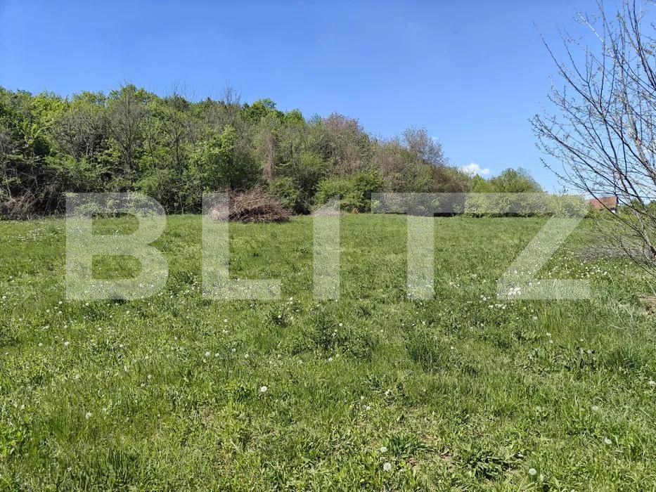 Teren de vânzare Curteni - 203633TV | BLITZ Târgu Mureș | Poza2