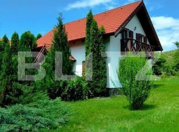 Casa de vânzare 4 camere Campu Cetatii - 203695CV | BLITZ Târgu Mureș | Poza3