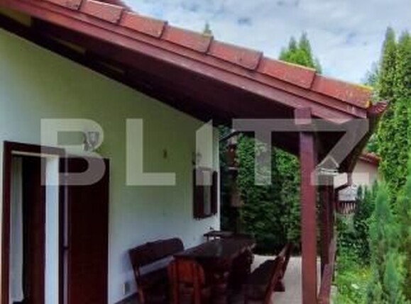 Casa de vânzare 4 camere Campu Cetatii - 203695CV | BLITZ Târgu Mureș | Poza5