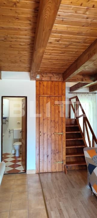Casa de vânzare 4 camere Campu Cetatii - 203695CV | BLITZ Târgu Mureș | Poza11