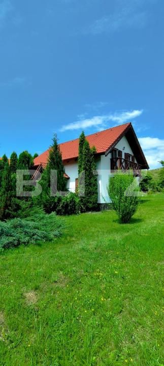 Casa de vânzare 4 camere Campu Cetatii - 203695CV | BLITZ Târgu Mureș | Poza3