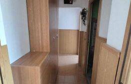 Apartament cu 3 camere de vânzare în Dâmbu Pietros – Str. Măgurei , 44 mp