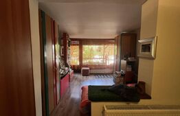 Apartament 82 mp – spațiu comercial, Unirii, 2 intrări