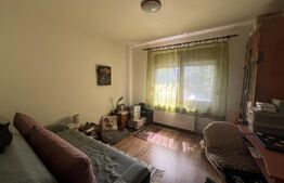 Apartament 82 mp – spațiu comercial, Unirii, 2 intrări