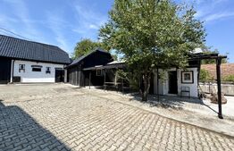 Proprietate superbă in Damieni! cu potential enorm comercial! 550mp utili-47Ari!