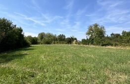 Proprietate superbă in Damieni! cu potential enorm comercial! 550mp utili-47Ari!