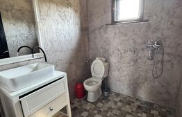Proprietate superbă in Damieni! cu potential enorm comercial! 550mp utili-47Ari!