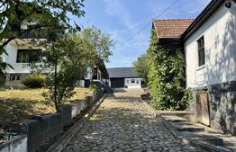 Proprietate superbă in Damieni! cu potential enorm comercial! 550mp utili-47Ari!