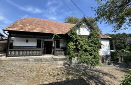 Proprietate superbă in Damieni! cu potential enorm comercial! 550mp utili-47Ari!
