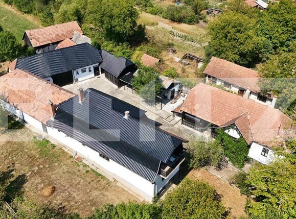 Casa de vânzare 5 camere Damieni - 203872CV | BLITZ Târgu Mureș | Poza12