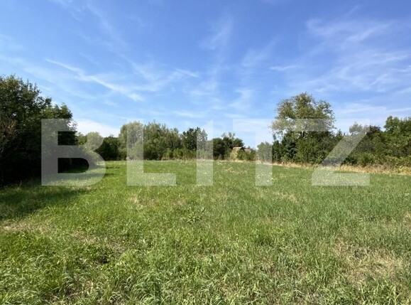 Casa de vânzare 5 camere Damieni - 203872CV | BLITZ Târgu Mureș | Poza13
