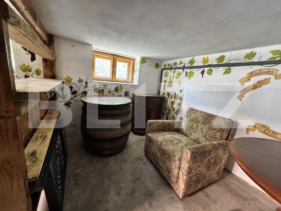 Casa de vânzare 5 camere Damieni - 203872CV | BLITZ Târgu Mureș | Poza17