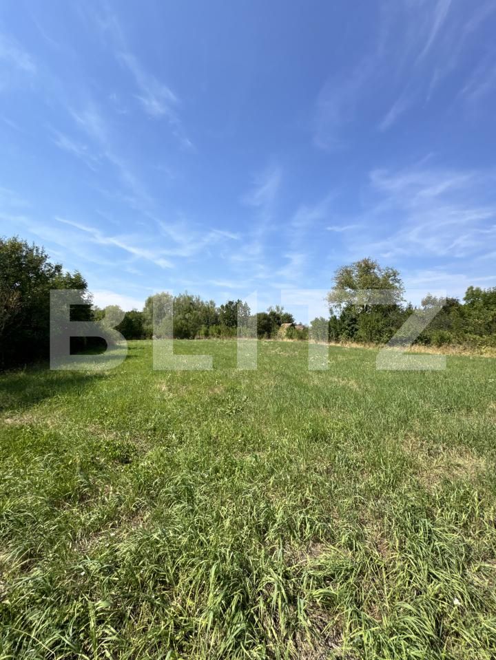 Casa de vânzare 5 camere Damieni - 203872CV | BLITZ Târgu Mureș | Poza13