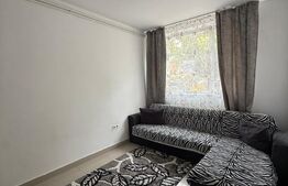 Apartament de vanzare , curte comuna, 2 camere, Zona Semicentral