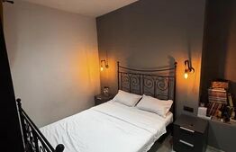 Apartament cu o camera - de inchiriat - Ultracentral