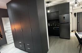 Apartament cu o camera - de inchiriat - Ultracentral