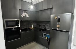 Apartament cu o camera - de inchiriat - Ultracentral