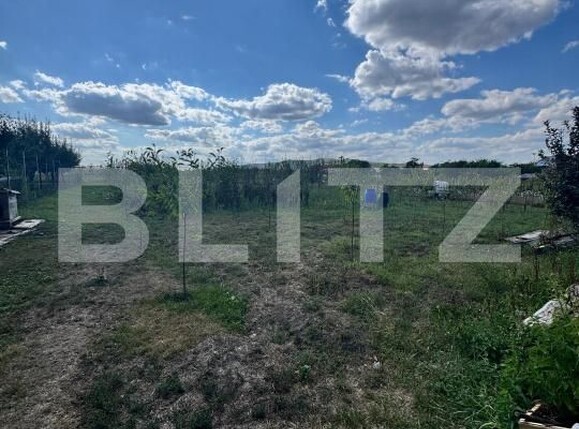 Casa de vânzare 3 camere Chirileu - 204638CV | BLITZ Târgu Mureș | Poza6