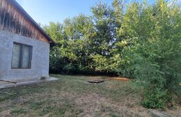 Casa de vacanta in mijlocul naturi