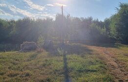 Casa de vacanta in mijlocul naturi