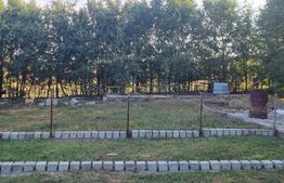 Casa de vacanta in mijlocul naturi