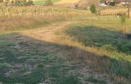 Casa de vacanta in mijlocul naturi
