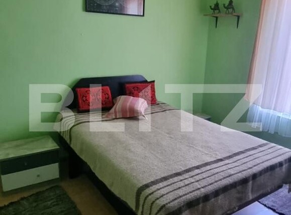 Casa de vânzare 3 camere Valea Fratiei - 204808CV | BLITZ Târgu Mureș | Poza7