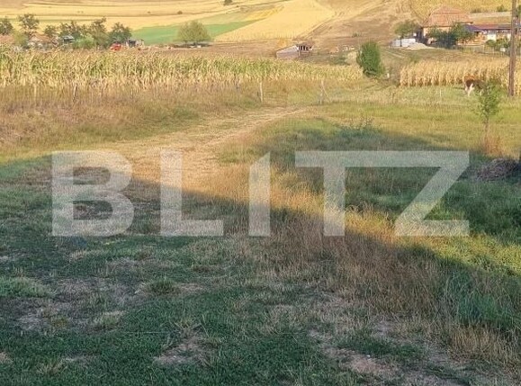Casa de vânzare 3 camere Valea Fratiei - 204808CV | BLITZ Târgu Mureș | Poza22