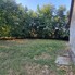 Casa de vânzare 3 camere Valea Fratiei - 204808CV - Poza 1 din 22 | BLITZ Târgu Mureș | Poza10