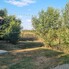 Casa de vânzare 3 camere Valea Fratiei - 204808CV - Poza 1 din 22 | BLITZ Târgu Mureș | Poza19