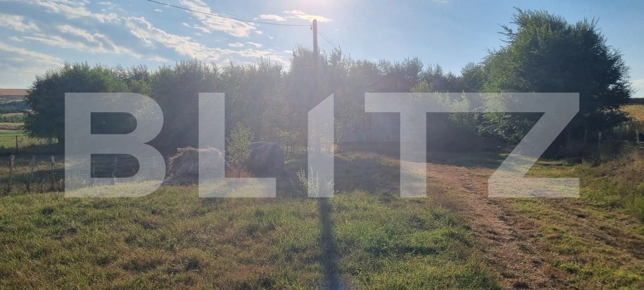 Casa de vânzare 3 camere Valea Fratiei - 204808CV | BLITZ Târgu Mureș | Poza19