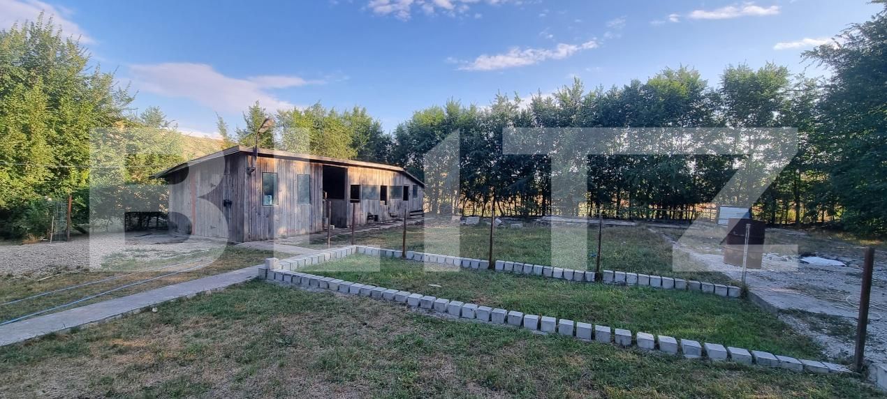 Casa de vânzare 3 camere Valea Fratiei - 204808CV | BLITZ Târgu Mureș | Poza14