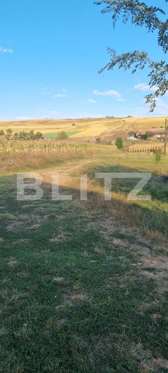 Casa de vânzare 3 camere Valea Fratiei - 204808CV | BLITZ Târgu Mureș | Poza22