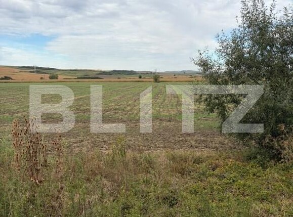 Teren de vânzare Cerghizel - 205014TV | BLITZ Târgu Mureș | Poza1