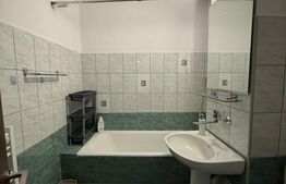 Apartament de inchiriat, 52 mp, zona Tudor 