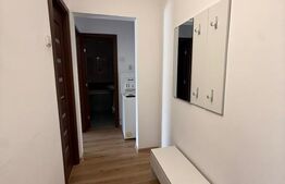 Apartament de inchiriat, 52 mp, zona Tudor 