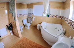 Proprietate de vanzare, 370 mp, zona Ivanesti