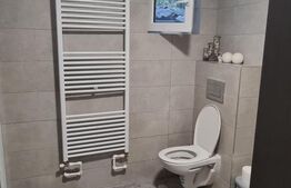 Casa cu 2 camere, 124.34 mp, zona Zau de Campie 