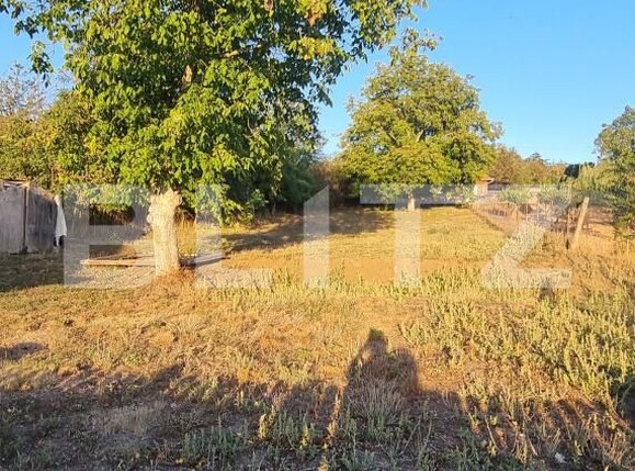 Casa de vânzare 2 camere Valea Larga - 205332CV | BLITZ Târgu Mureș | Poza22