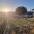 Casa de vânzare 2 camere Zau de Campie - 205332CV - Poza 1 din 22 | BLITZ Târgu Mureș | Poza19