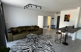 Apartament 2 camere de inchiriat - Zona Maurer - Parcare terana 