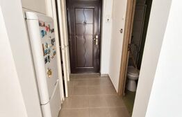 Garsoniera de vanzare – Aleea Carpați, etaj 7