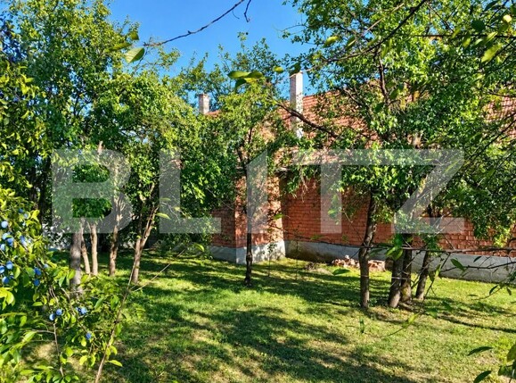 Casa de vânzare 6 camere Crăciunești - 205599CV | BLITZ Târgu Mureș | Poza3
