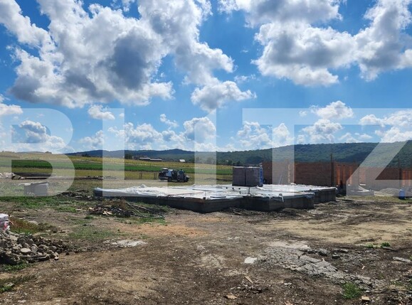 Casa de vânzare 4 camere Corunca - 205724CV | BLITZ Târgu Mureș | Poza3