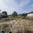 Teren de vânzare Nazna - 205756TV - Poza 1 din 3 | BLITZ Târgu Mureș | Poza1