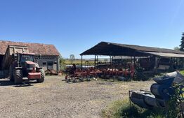 Ferma de vanzare, 250 mp, 70 ha teren agricol, zona Frunzeni