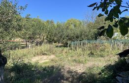 Fermă de vânzare în Frunzeni, județul Mureș – 70 ha teren agricol