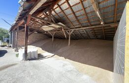 Fermă de vânzare în Frunzeni, județul Mureș – 70 ha teren agricol