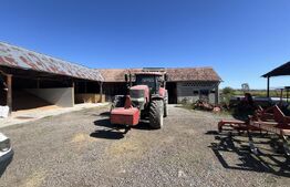 Fermă de vânzare în Frunzeni, județul Mureș – 70 ha teren agricol